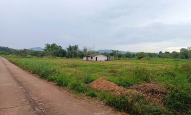 For sale land in Li, Lamphun
