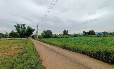 For sale land in Li, Lamphun