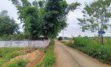 For sale land in Li, Lamphun