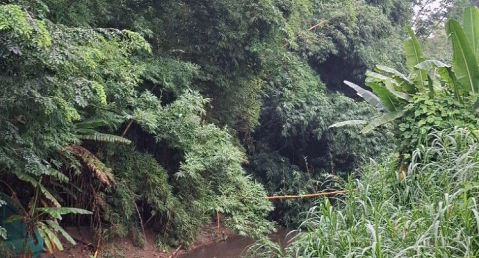 For sale land in Mueang Chiang Rai, Chiang Rai