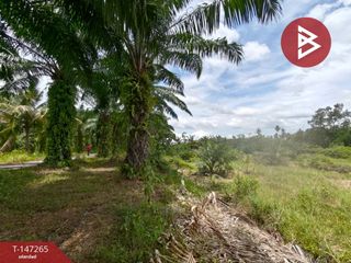 Продажа Участок в Mueang Nakhon Si Thammarat, Nakhon Si Thammarat