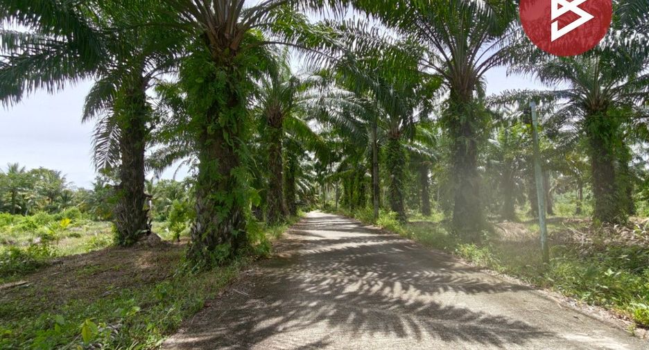 Продажа Участок в Mueang Nakhon Si Thammarat, Nakhon Si Thammarat