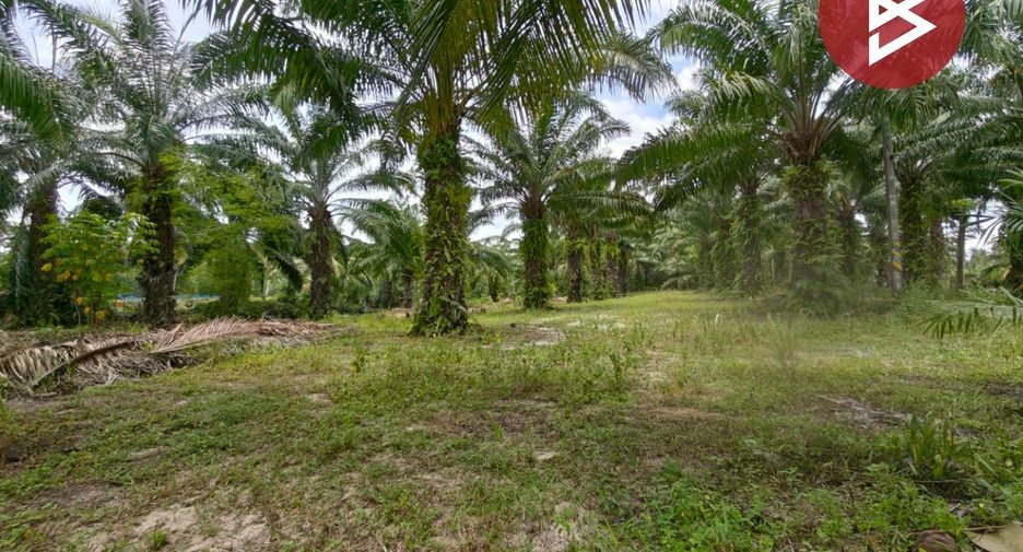Продажа Участок в Mueang Nakhon Si Thammarat, Nakhon Si Thammarat