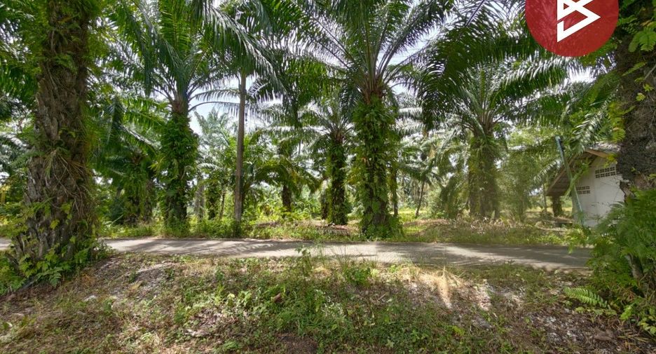 Продажа Участок в Mueang Nakhon Si Thammarat, Nakhon Si Thammarat