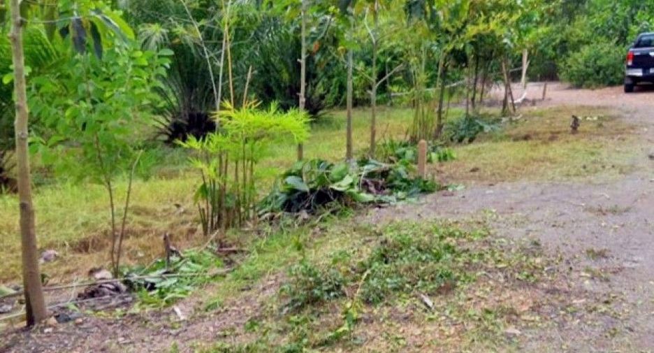 For sale land in Mueang Nakhon Si Thammarat, Nakhon Si Thammarat