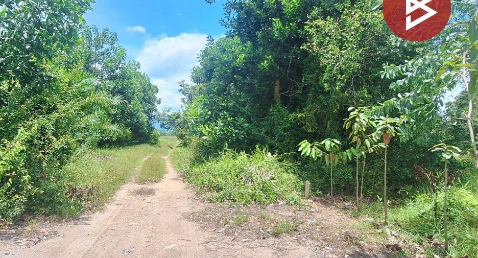 For sale land in Mueang Nakhon Si Thammarat, Nakhon Si Thammarat