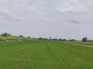 Продажа Участок в Sai Noi, Нонтабури