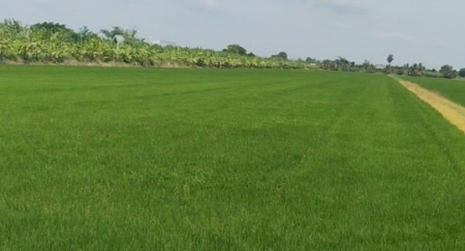Продажа Участок в Sai Noi, Нонтабури
