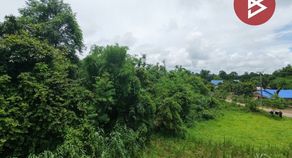 ขาย ที่ดิน ใน ฝาง, เชียงใหม่