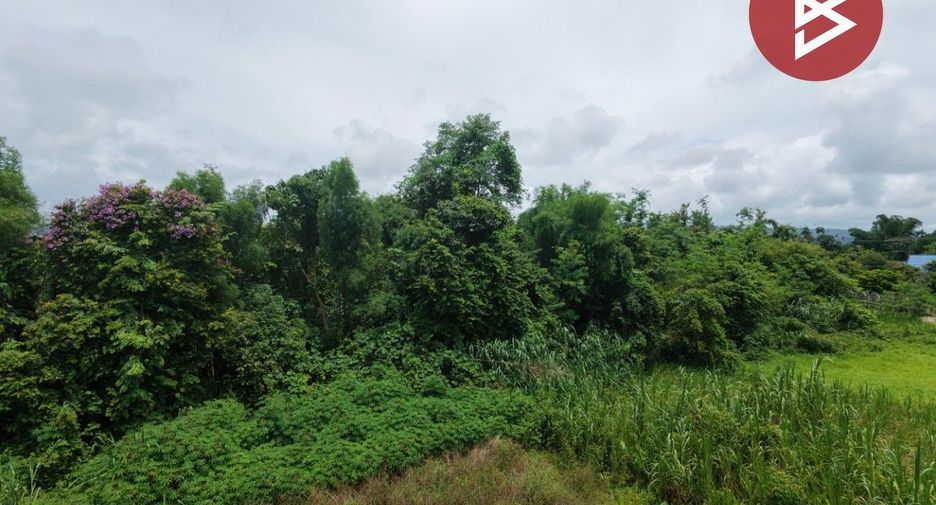 ขาย ที่ดิน ใน ฝาง, เชียงใหม่