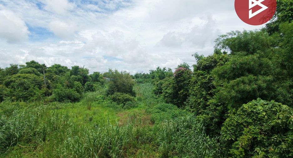 ขาย ที่ดิน ใน ฝาง, เชียงใหม่