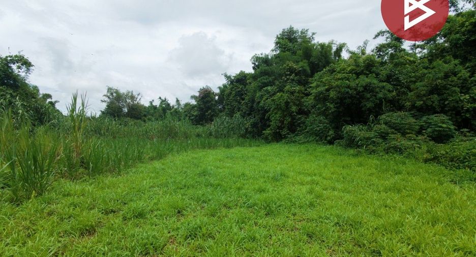 ขาย ที่ดิน ใน ฝาง, เชียงใหม่