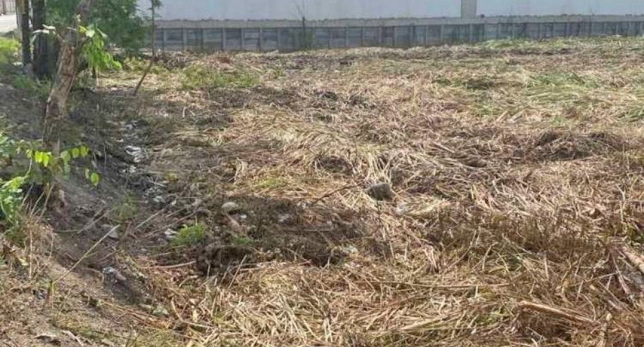 Terreno en venta en Bang Yai, Nonthaburi