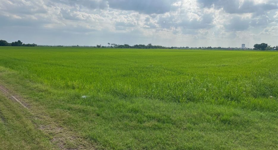 For sale land in Mueang Chachoengsao, Chachoengsao