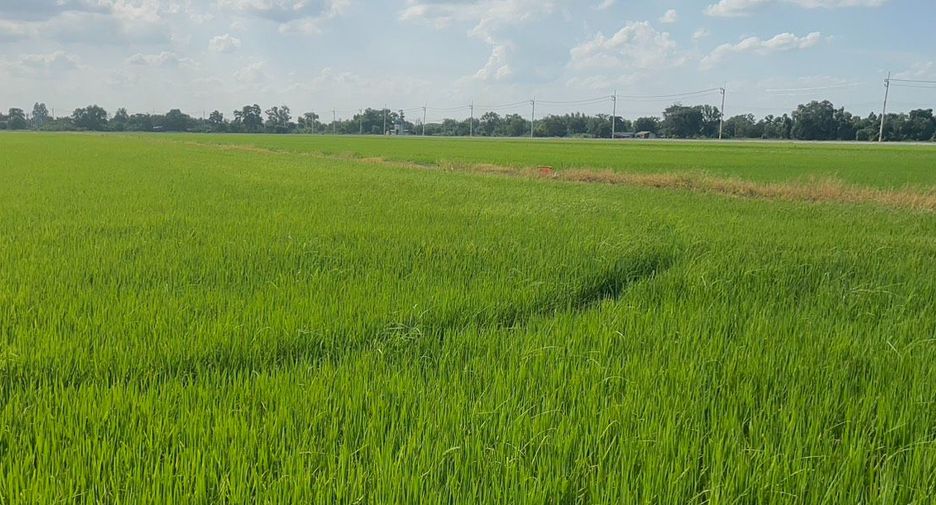 For sale land in Mueang Chachoengsao, Chachoengsao