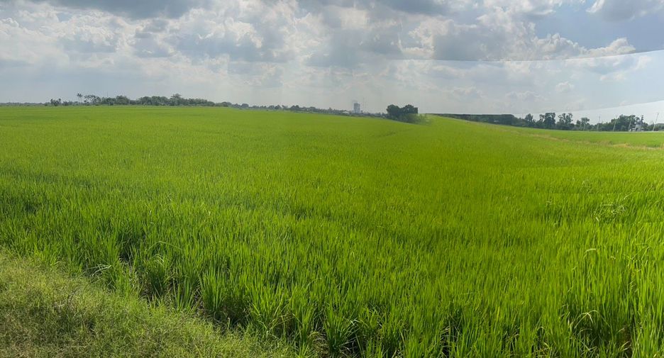 For sale land in Mueang Chachoengsao, Chachoengsao