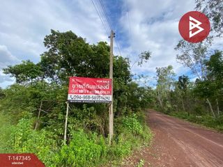 For sale land in Mueang Nong Khai, Nong Khai