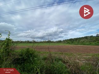 For sale land in Mueang Nong Khai, Nong Khai