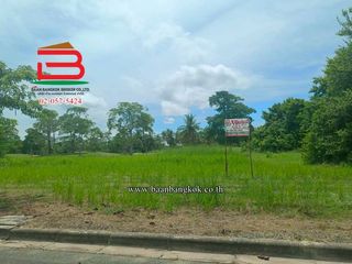 ขาย ที่ดิน ใน บ้านฉาง, ระยอง