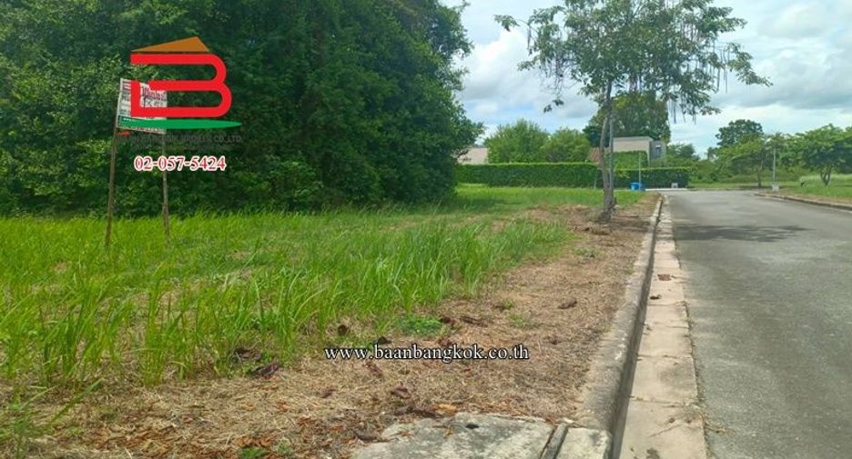 ขาย ที่ดิน ใน บ้านฉาง, ระยอง