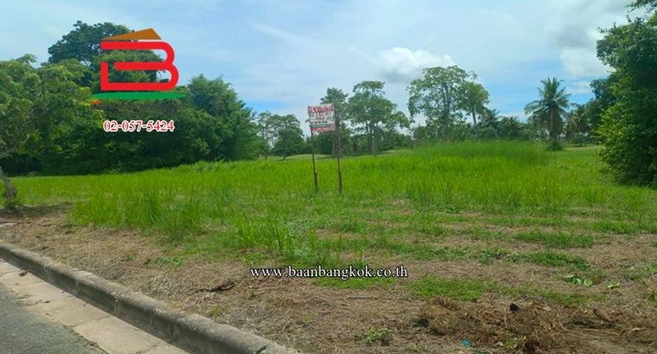 ขาย ที่ดิน ใน บ้านฉาง, ระยอง