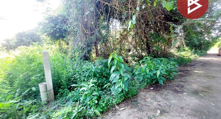 For sale land in Phon Phisai, Nong Khai