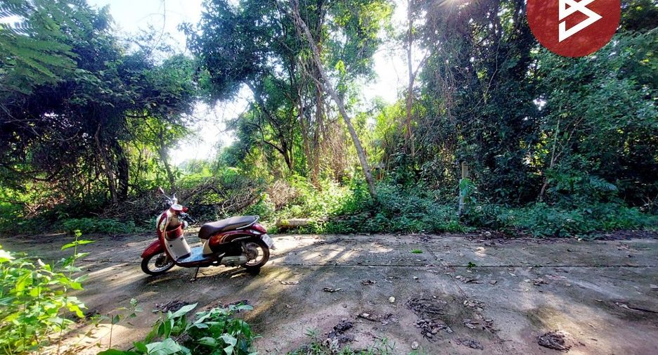For sale land in Phon Phisai, Nong Khai