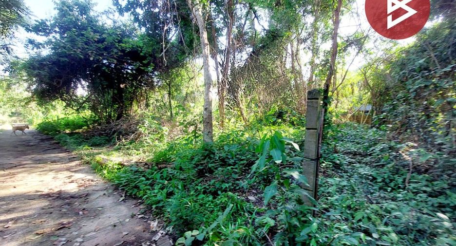 For sale land in Phon Phisai, Nong Khai