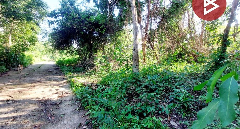 For sale land in Phon Phisai, Nong Khai