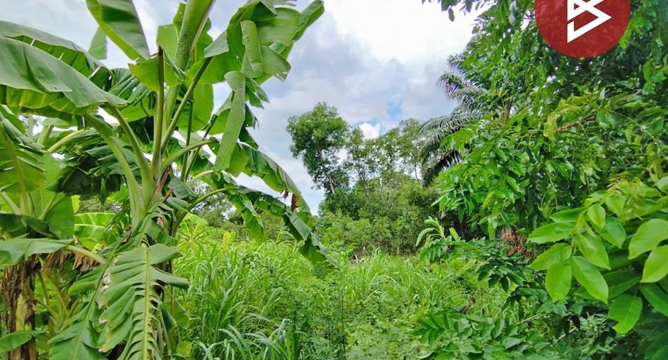 Продажа Участок в Nong Suea, Патумтани