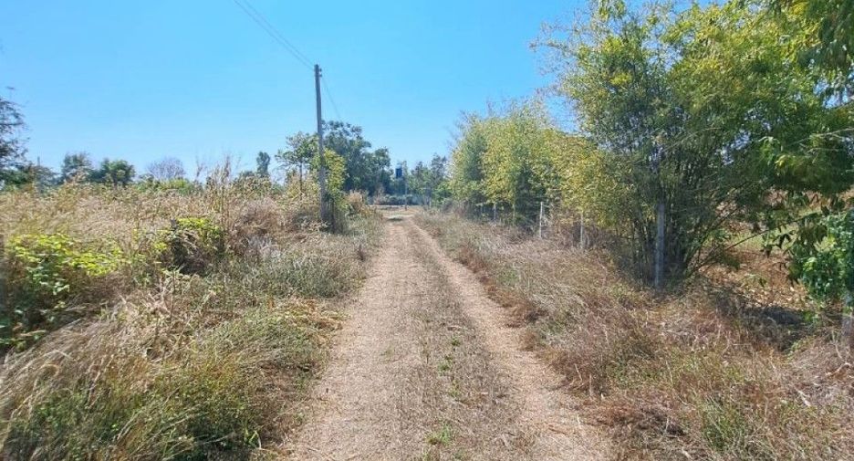 出售 土地 在 Don Chedi, Suphan Buri