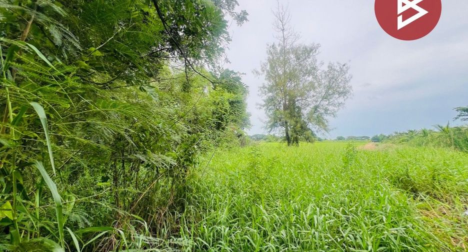 ขาย ที่ดิน ใน พุทธมณฑล, นครปฐม