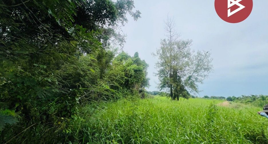 ขาย ที่ดิน ใน พุทธมณฑล, นครปฐม