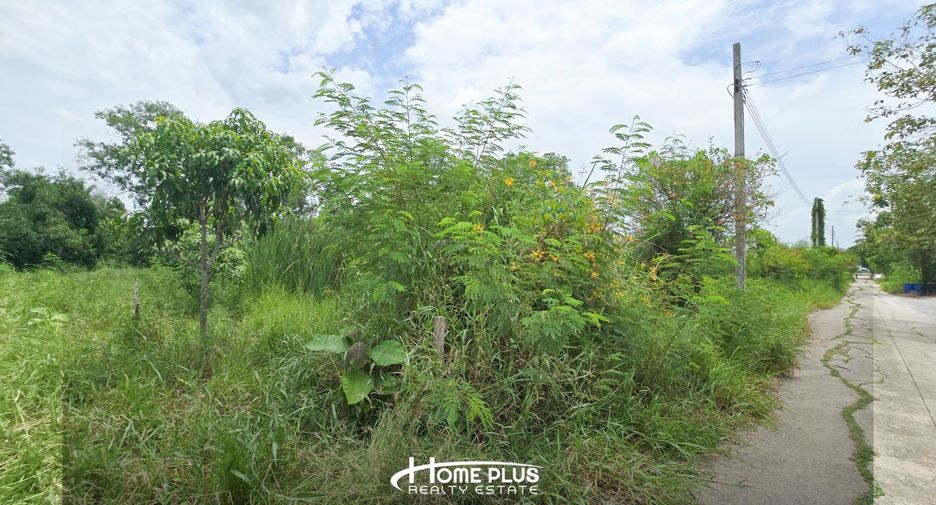 For sale land in Sai Noi, Nonthaburi