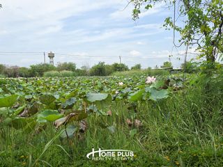 For sale land in Sai Noi, Nonthaburi