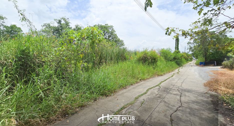 For sale land in Sai Noi, Nonthaburi