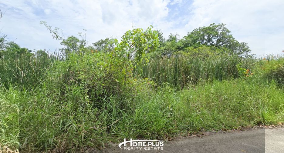 For sale land in Sai Noi, Nonthaburi