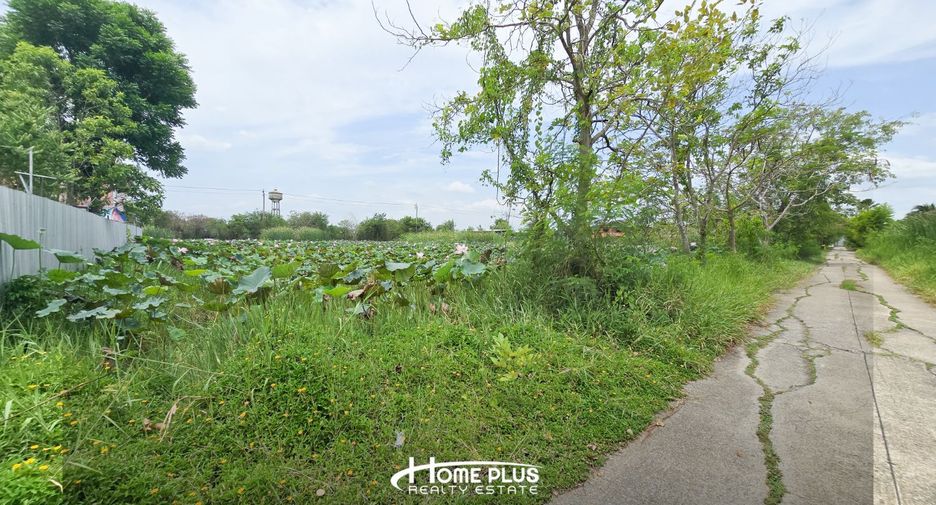 For sale land in Sai Noi, Nonthaburi