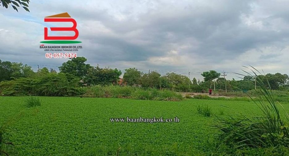 ขาย 2 ห้องนอน บ้านเดี่ยว ใน คลองหลวง, ปทุมธานี