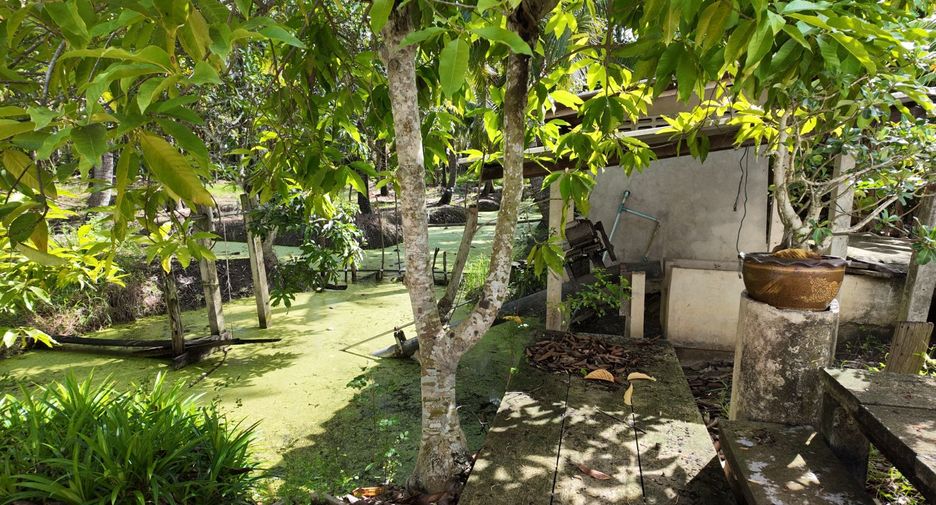 出售 土地 在 Damnoen Saduak, Ratchaburi