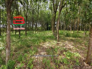 Terreno en venta en Wang Chan, Rayong