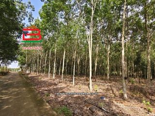 Terreno en venta en Wang Chan, Rayong
