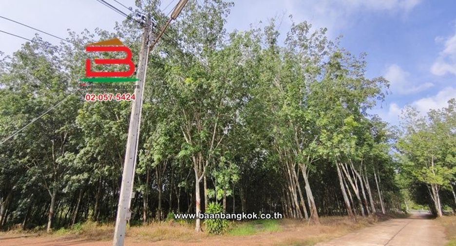 Terreno en venta en Wang Chan, Rayong