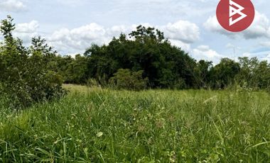 For sale land in Phatthana Nikhom, Lopburi