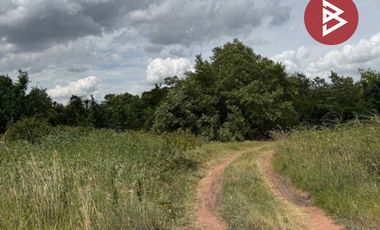 For sale land in Phatthana Nikhom, Lopburi