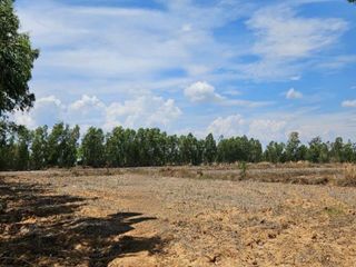 出售 土地 在 Phen, Udon Thani