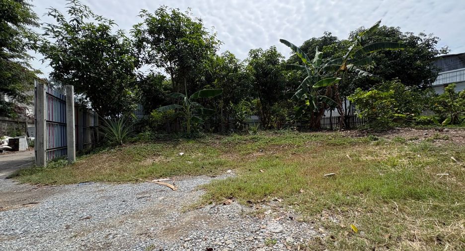 出租 和 出售 土地 在 Mueang Nonthaburi, Nonthaburi