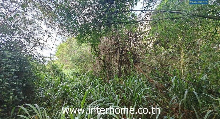 Grundstück zum Kauf in San Sai, Chiang Mai