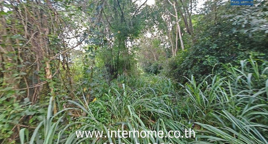 Grundstück zum Kauf in San Sai, Chiang Mai