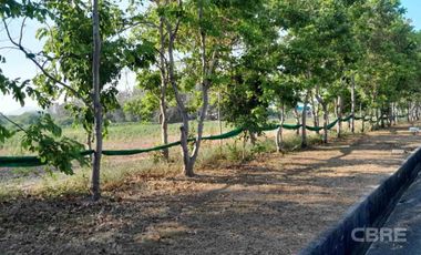 出售 土地 在 Mueang Rayong, Rayong